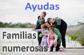 Ayudas a Familias numerosas de la Seguridad Social 1 ayudas a familia numerosa