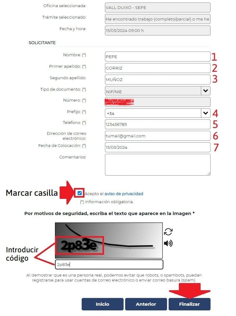 Cómo obtener cita SEPE - INEM por internet 5 rellenar datos para cita SEPE