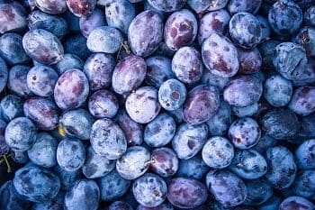 10 Alimentos para Fortalecer tu Sistema Inmunológico y Mantenerte Saludable 2 arándanos bayas