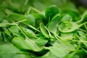 10 Alimentos para Fortalecer tu Sistema Inmunológico y Mantenerte Saludable 4 espinacas
