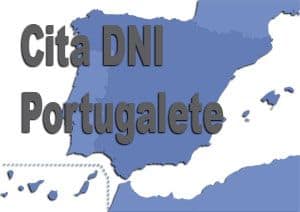 cita dni portugalete
