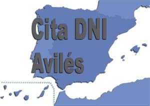 cita dni aviles