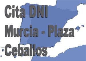 cita dni murcia plaza ceballos